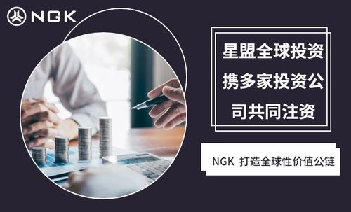 NGK公鏈技術 重塑房地產生態，賦能經濟信息咨詢